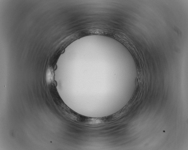 X0000112050095200908040959