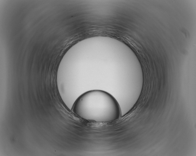 X0000112050096200908040959