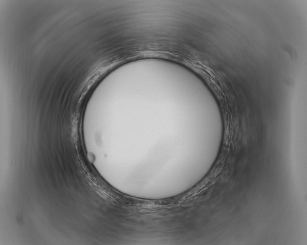 X0000112050098200908040958