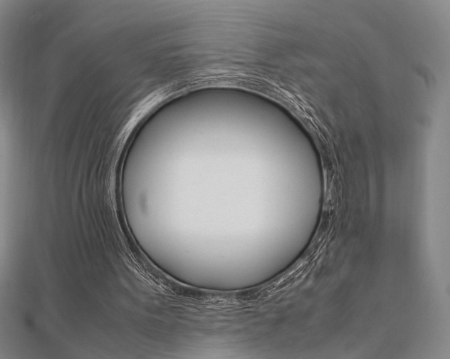 X0000112050099200908040958