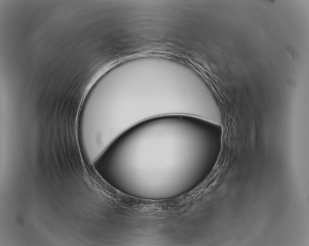 X0000112050100200908040958