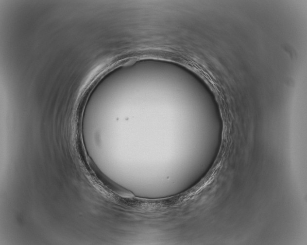 X0000112050101200908040958