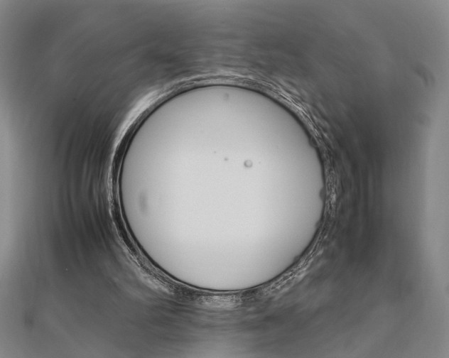 X0000112050102200908040958