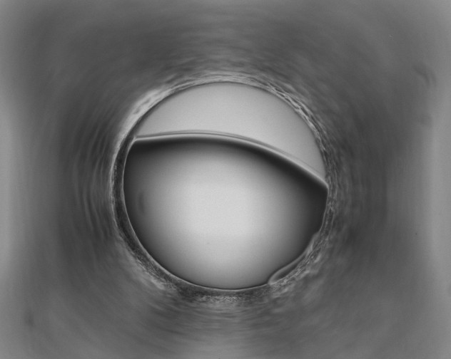 X0000112050104200908040958