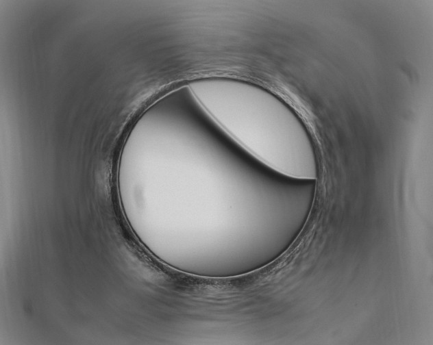 X0000112050107200908040958