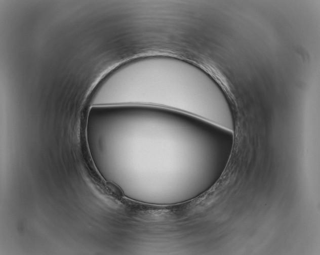 X0000112050108200908040958