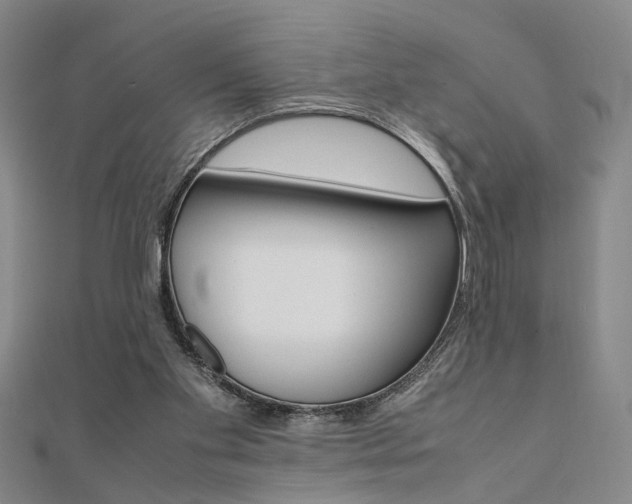 X0000112050109200908040958