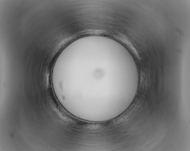 X0000112050110200908040958