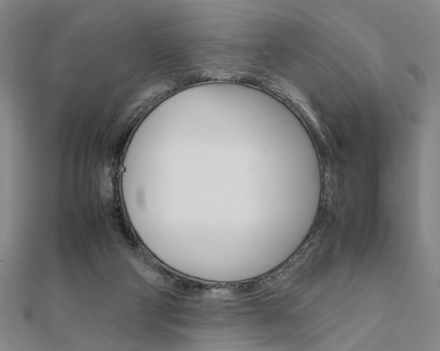 X0000112050114200908040958