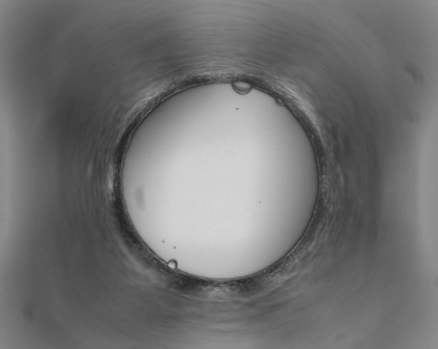X0000112050115200908040958