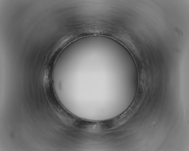X0000112050116200908040958