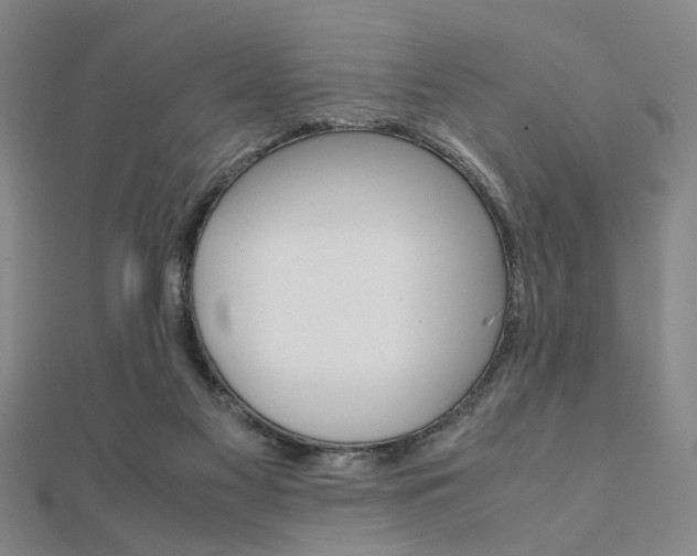 X0000112050117200908040958