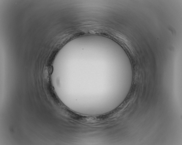 X0000112050121200908040958