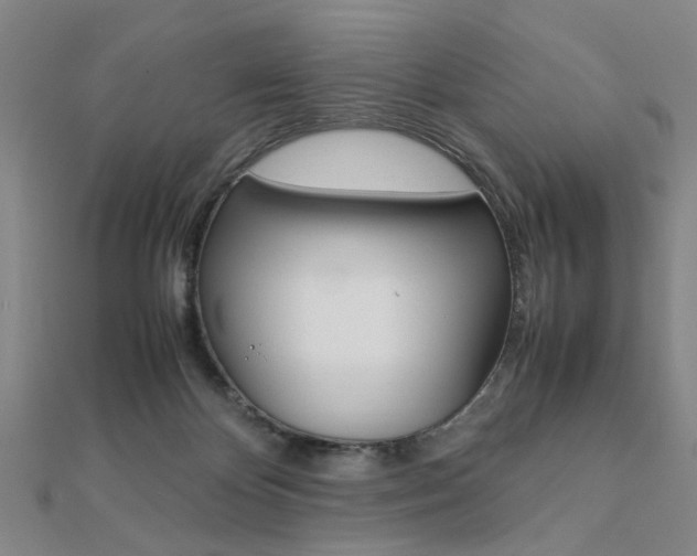 X0000112050124200908040958