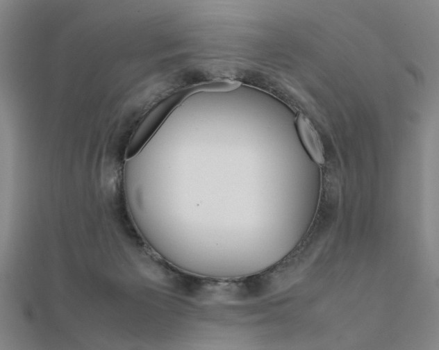 X0000112050125200908040958