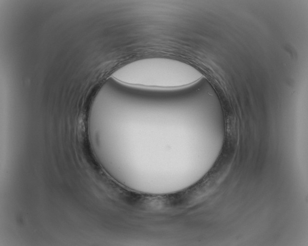 X0000112050127200908040958