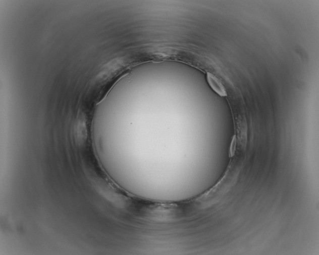 X0000112050128200908040958