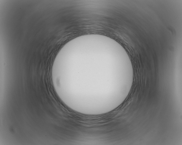 X0000112050129200908040958
