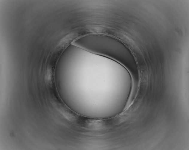 X0000112050132200908040958