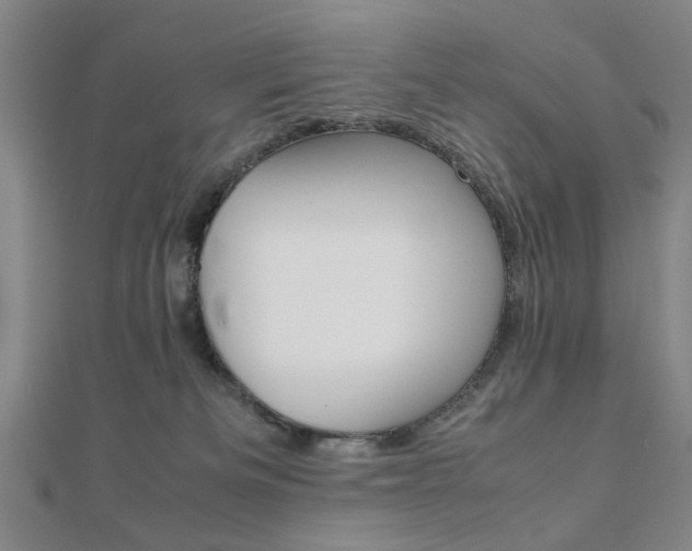 X0000112050133200908040958