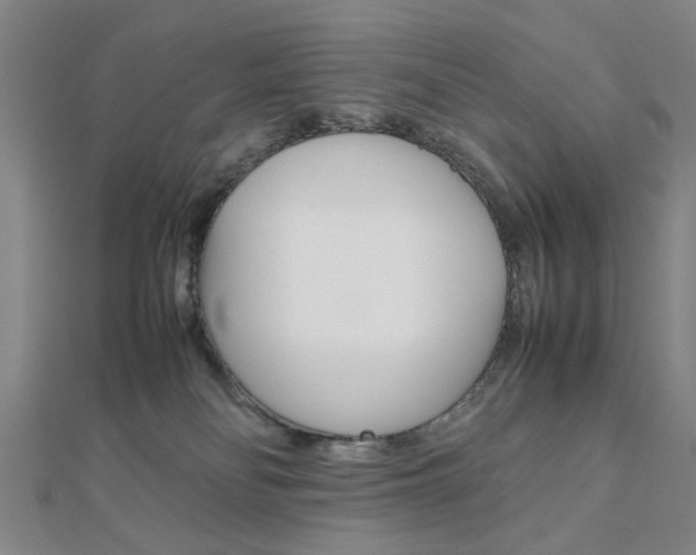 X0000112050134200908040958