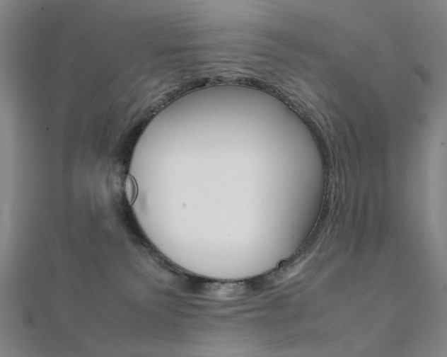 X0000112050135200908040958