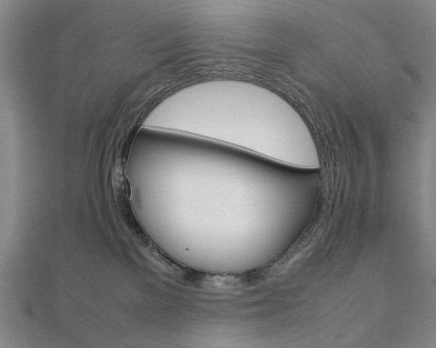 X0000112050137200908040958
