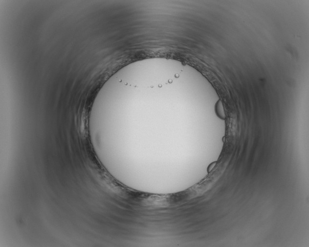 X0000112050138200908040958