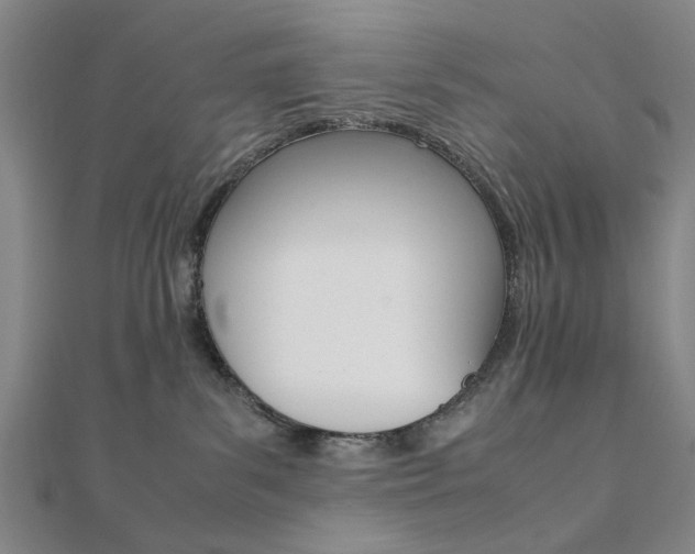 X0000112050139200908040958