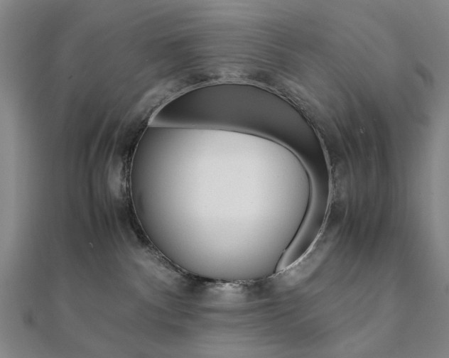 X0000112050140200908040958