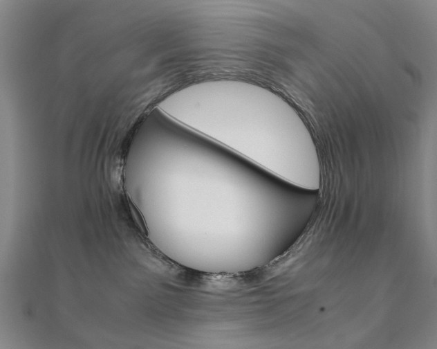 X0000112050141200908040958