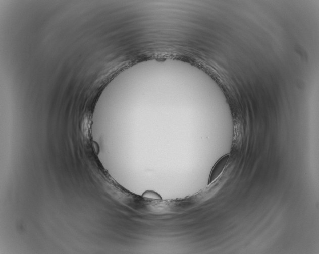 X0000112050142200908040958