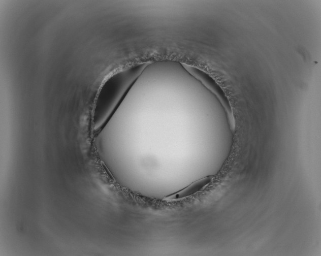 X0000112050144200908040957