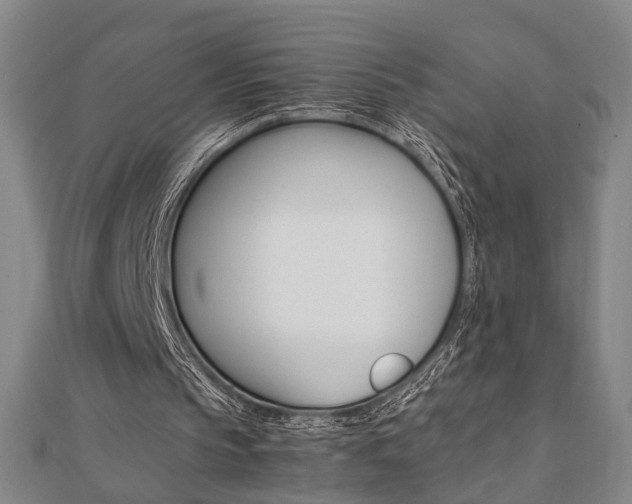 X0000112050145200908040957