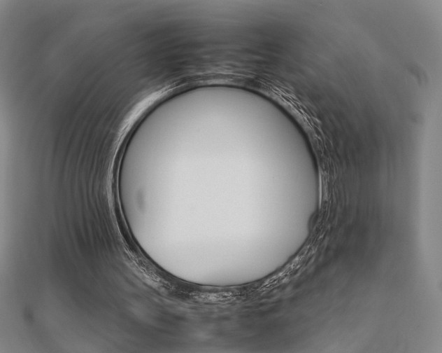 X0000112050147200908040957