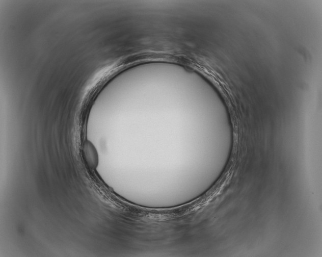 X0000112050149200908040957