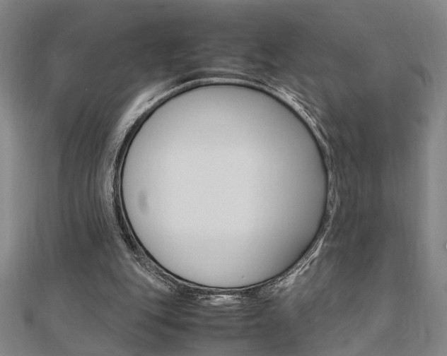 X0000112050151200908040957