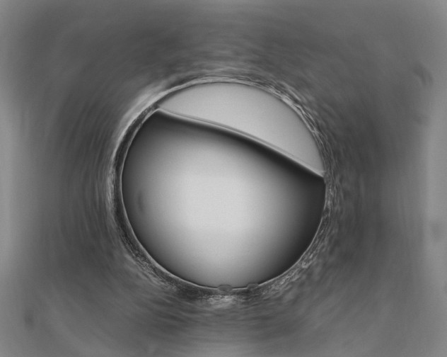 X0000112050152200908040957