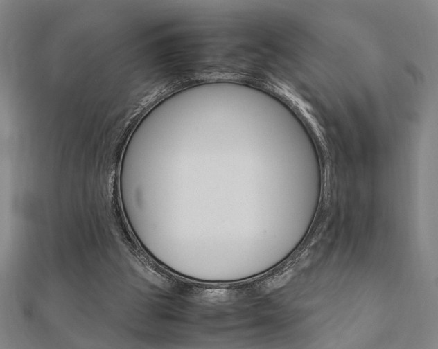 X0000112050153200908040957