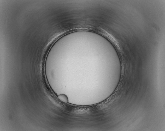X0000112050155200908040957