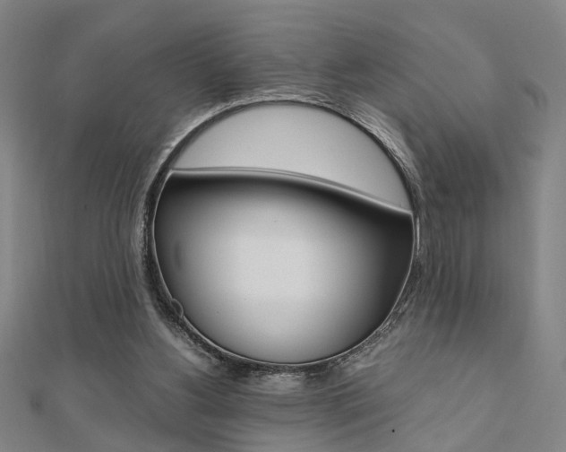 X0000112050156200908040957