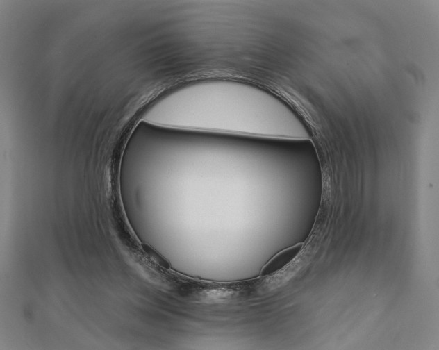 X0000112050158200908040957