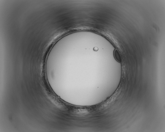 X0000112050159200908040957