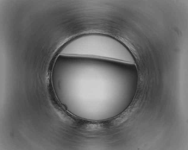 X0000112050160200908040957