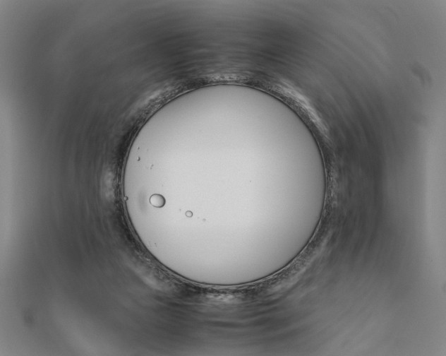 X0000112050161200908040957