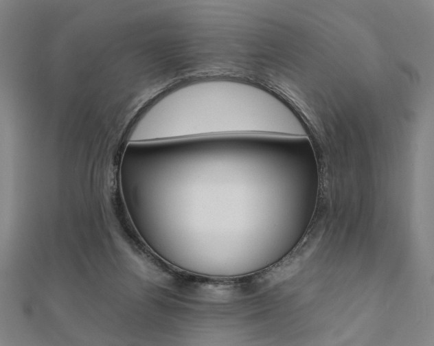 X0000112050164200908040957