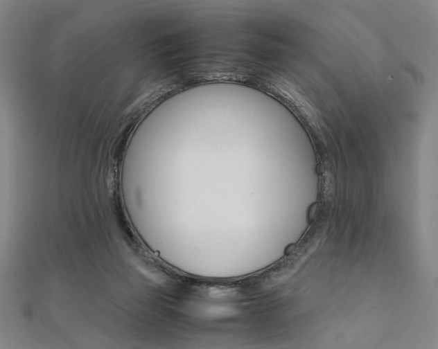 X0000112050165200908040957