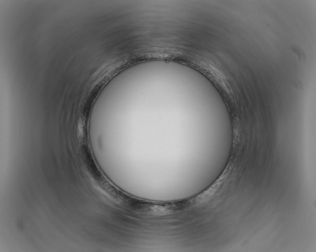 X0000112050166200908040957