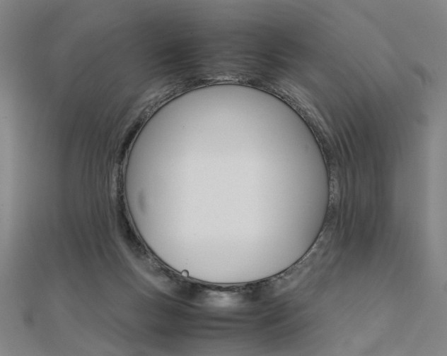 X0000112050167200908040957