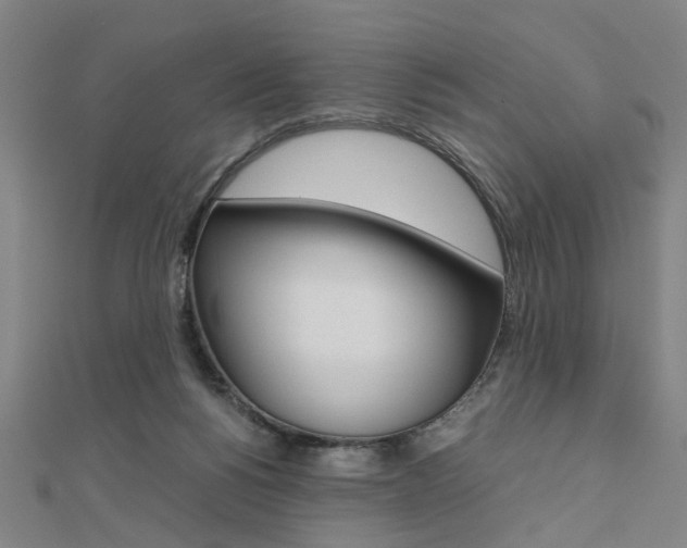 X0000112050168200908040957